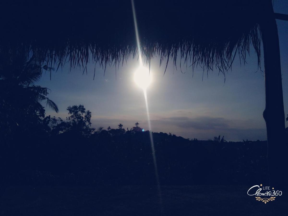 Mount Sea View Bungalow Sakti エクステリア 写真